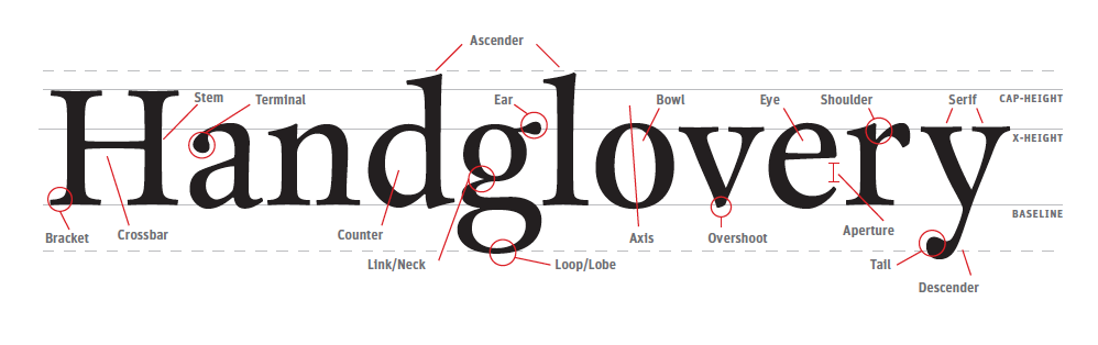 Type Anatomy